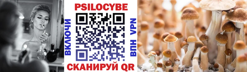 где найти   Ростов  darknet официальный сайт  Псилоцибиновые грибы GOLDEN TEACHER 